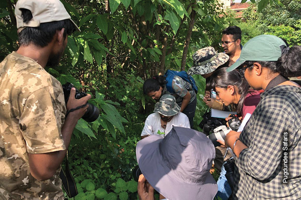 Nature Education & Conservation