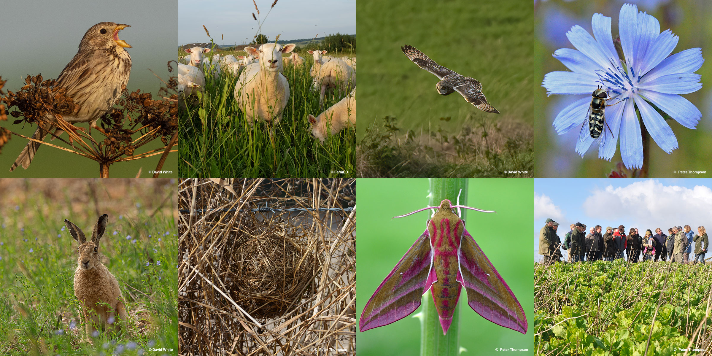 FOOD AND FARMING FOR OUR FUTURE