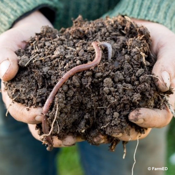 FOOD AND FARMING FOR OUR FUTURE