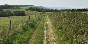 South Downs Way