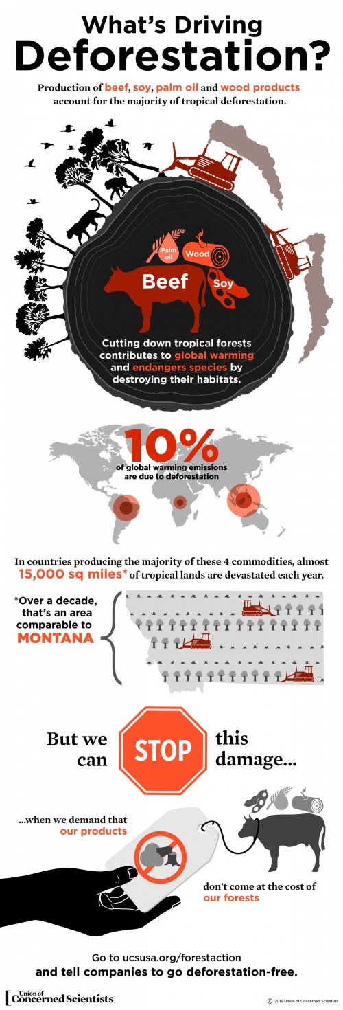 tfci-drivers-infographic-web